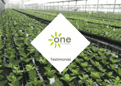 Testimonial – One Floral