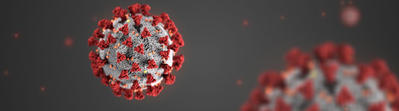 covid-19 virus 3D image